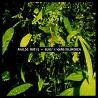 Split Analog Ruins / Guns'n'Gänseblümchen